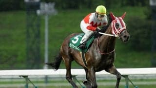 【盛岡・ジュニアグランプリ見どころ】若鮎賞覇者セイカールトンが重賞連勝へ…芝で一変ベストプラージュ、遠征勢も参戦