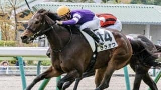 JRAで現役唯一のエタリオウ産駒 ララオウが2勝目狙う