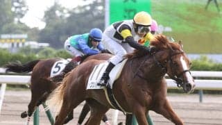 【新潟３Ｒ・２歳新馬】半姉が今年の桜花賞３着、ジップスパークが断然人気に応えて初陣Ｖ　田辺裕信騎手「期待していました」