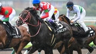 「GLAY」のTERUが名付け親 テルヒコウが3勝目なるか