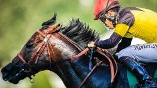 キーンランドCは前走マイル組が好成績 3歳＆軽量馬に注目だ