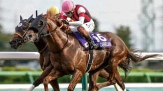 【キーンランドC予想】サマースプリントシリーズ第5戦 札幌芝1200mは長く使える末脚がカギ