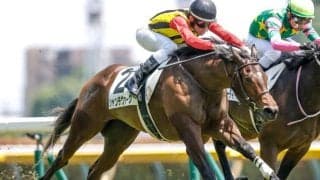 【新潟2歳S予想】世代最初のマイル重賞 新潟の長い直線勝負と未勝利馬の取捨がカギ