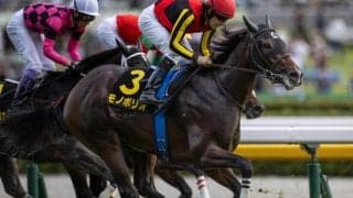 シンザン記念で1番人気の素質馬 モノポリオが7カ月半ぶり復帰戦だ