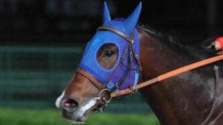 【パシフィッククラシックＳ】海外初挑戦フィンガーは最下位　本場の高い壁に３歳ダート２冠馬でも太刀打ちできず