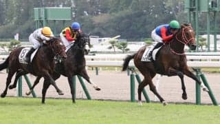【新潟２Ｒ・２歳新馬】重賞２勝の母を持つタイヴァスが押し切りＶ　坂井瑠星騎手「いろいろ競馬を覚えていってくれれば」