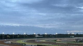 茨城県南部を震源とする地震で美浦トレーニングセンターは被害なし