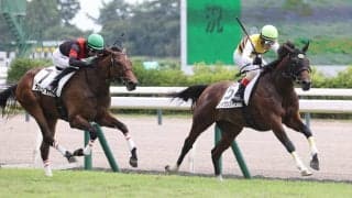 【新潟３Ｒ・２歳新馬】西山オーナーの退院祝い！「いい報告ができそう」と吉田豊騎手　１１番人気セイウンシャラ逃げ切りＶ