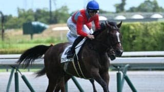 【中京3R新馬戦結果】キズナ産駒ファミーリエが突き抜け快勝