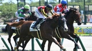 【中京2R新馬戦結果】オルフェーヴル産駒キトゥンズクラフトが人気に応えてV