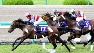 ナカヤマフェスタ死す...衰弱による起立不全で　１０年凱旋門賞で２着　うらかわ優駿ビレッジＡＥＲＵが発表