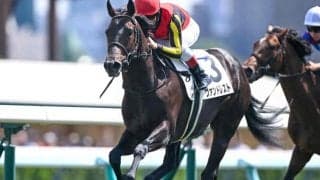 【札幌5R新馬戦結果】コントレイル産駒ヴァンドレストが人気に応えて快勝