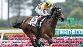 【新潟3R新馬戦結果】11番人気セイウンシャラが逃げ切りV サトノアラジン産駒