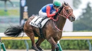 【新潟2R新馬戦結果】ウィルテイクチャージ産駒タイヴァスが押し切り勝ち