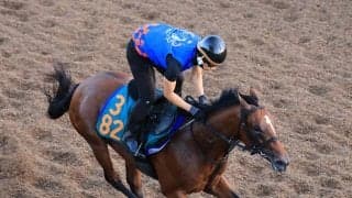 日曜新潟競馬場の注目激走馬…新潟７Ｒ新潟２歳ステークス・Ｇ３