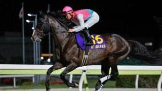 【船橋・フリオーソレジェンドC枠順】日本テレビ盃の前哨戦 ドゥラエレーデは1枠1番