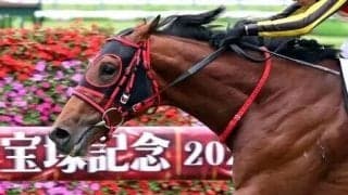 ４コーナーで突然の異変にネット騒然「故障かと…」「オルフェした？」　新潟２歳Ｓ出走のインカルナータ