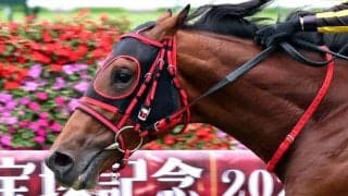 【新潟２歳Ｓ】まさかの逸走...エフフォーリア産駒インカルナータは９着大敗　４コーナー過ぎに外ラチ付近まで大きくふくらむ
