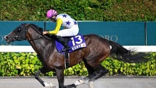 【JRA・WIN5】2レース目の12番人気Vで的中7票、配当は6986万4960円