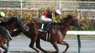 【名古屋城S結果】トリポリタニアが人気に応えてオープン初勝利
