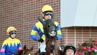 【キーンランドＣ】丹内祐次騎手「まだまだこれからの馬」３歳馬ロジケープは重賞初挑戦も６着　連勝３でストップ