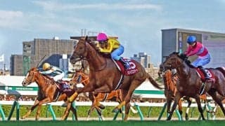 サマー２０００シリーズ優勝は該当馬なし　最近１０年で５度目の王者不在　新潟記念に逆転の可能性ある馬の登録なし