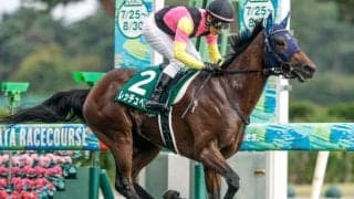 【新潟2歳S結果】レッチュベルクが内から抜け出し無傷2連勝で重賞V