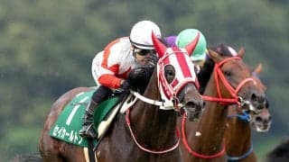岩手に芝の新星誕生　ダービー馬マカヒキの息子　２歳セイカールトンがジュニアＧＰで芝重賞２連勝