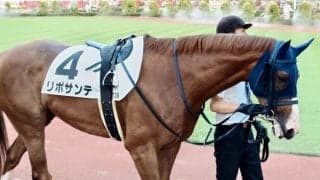 【新潟10R】リポサンテの後方一気が炸裂…最後方から豪快差し切りV