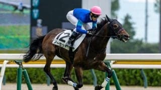 【新潟1R】単勝1.1倍ノーセットが7馬身差圧勝、断然人気に応える