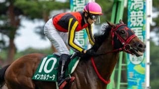 【新潟2歳S】インカルナータは4角でまさかの逸走…SNSでは「何があったんだ？」と心配の声