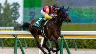 【新潟2歳S】レッチュベルクが人気に応えて快勝…デビュー2連勝で重賞初制覇