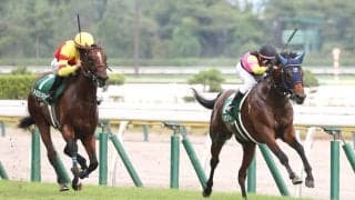 【新潟２歳Ｓ・レースメモ】インディチャンプ産駒が延べ３頭の出走で初勝利