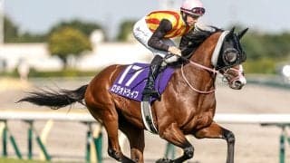 GI馬5頭集結の新潟記念と中京2歳S/今週の競馬界の見どころ