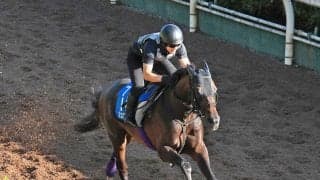 【新潟記念・理貴の特注馬】３年５か月ぶりの２０００メートルでジュンブロッサムが変わる　友道調教師「今なら…」