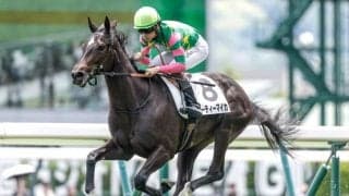 【中京2歳S見どころ】圧巻のデビュー戦だったジーティーマイカ