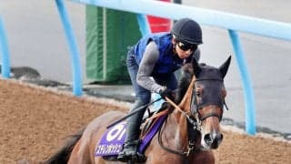 【新潟記念・イシゴーの特注馬】ステレンボッシュ完全復活へ　新潟の外回り２０００メートルは願ってもない形態