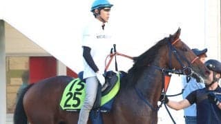 【中京２歳Ｓ・松ケ下の特注馬】ビスケットサンドの精神的成長を評価　相乗効果で馬自体がひと回り良化した印象