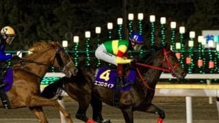 【先週のJRA抹消馬】24年ブルーバードCで2着のエコロガイア、桜花賞馬の仔エンジェルブリーズなど