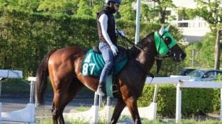 重賞馬の初仔コスモクラウン 調教の質と量は申し分なし/関西馬メイクデビュー情報