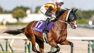 【新潟記念想定騎手】ロデオドライブはC.ルメール騎手、ゾロアストロは岩田望来騎手