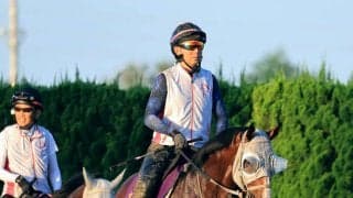【新潟記念】３歳マイル王のロデオドライブが初の２０００メートルで古馬へ挑む　辻調教師「今後の可能性を広げるうえで…」