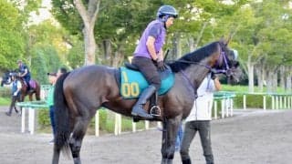 牝馬二冠チェルヴィニアの半弟 鹿戸師も期待寄せるチェスティーノ/関東馬メイクデビュー情報