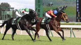「強烈」「おかしい」「最終回なん？」少数精鋭のメンバーに早くも頭悩ますファン続出　登録１１頭中Ｇ１馬５頭の新潟記念　
