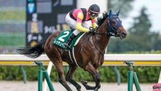 新潟2歳Sに好相性のインディチャンプ産駒 レッチュベルクが改めて適性示す