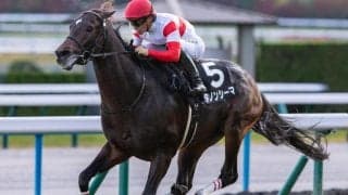 【新潟記念】セレクト3.1億円のダノンシーマ 史上最高価格のJRA重賞勝ち馬となるか