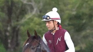 【新潟記念】Ｇ１馬に挑むダノンシーマは初の舞台がカギ　陣営「新潟にうまく対応できれば」