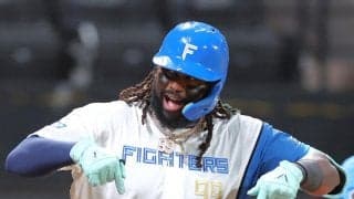 日本ハム・レイエス、北山亘基先発試合で８本塁打、打率３割３分８厘／見どころ