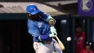 【日本ハム】レイエス２年連続30号などで引き分け挟み６連勝　粘投の先発北山亘基が11勝目