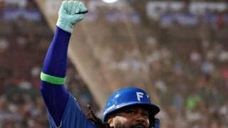 【日本ハム】レイエスが２戦連発31号　前夜まで２試合連続猛打賞